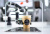 Роботизированная кофейня Rozum Café Роботизированная кофейня Rozum Café
